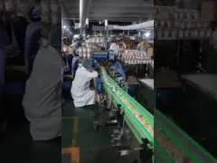 Pełna maszyna do pakowania bawełny 21KW Maszyna do pakowania termokurczliwego