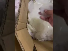 Industrial Grade White Silicone Rubber Washers Smooth Surface With RoHS Certificate