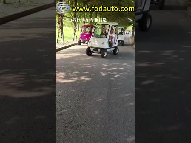 350 W DC Motor Electric Sightseeing Car With Double Seats Green Lead Acid Traction Battery