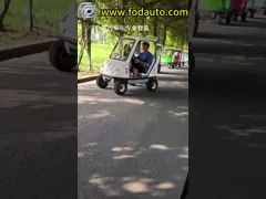 350 W DC Motor Electric Sightseeing Car With Double Seats Green Lead Acid Traction Battery