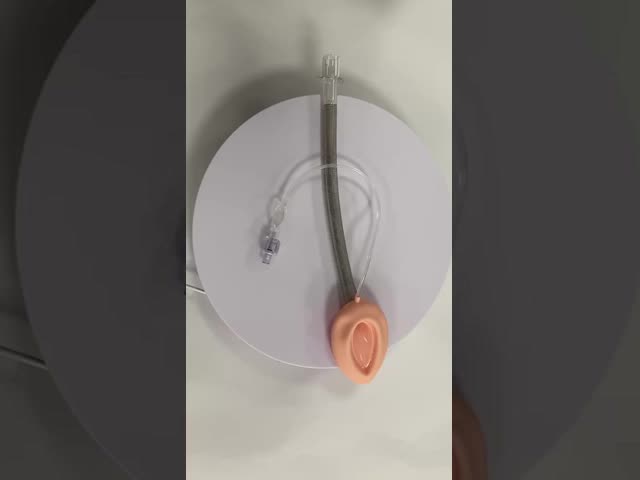 強化されたPVC喉頭マスク 呼吸道用 Fr4 Lma呼吸管
