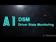 DSM function Video Demo