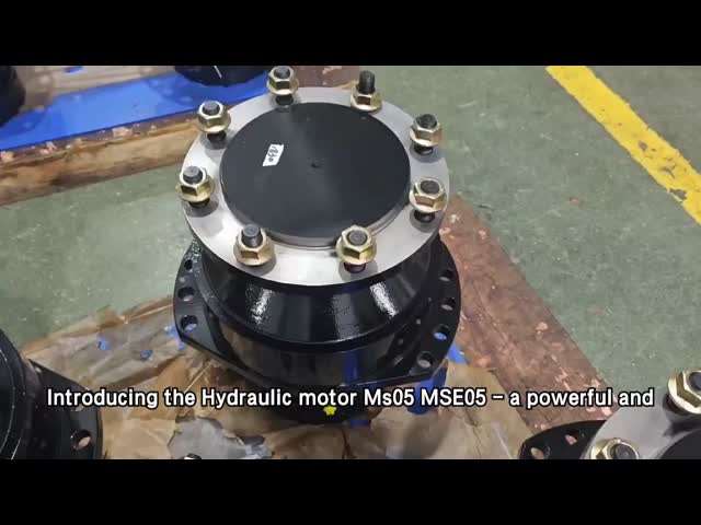 重用鋳鉄 100-125r/min パーソナライズされた色合いの水力ピストンモーター