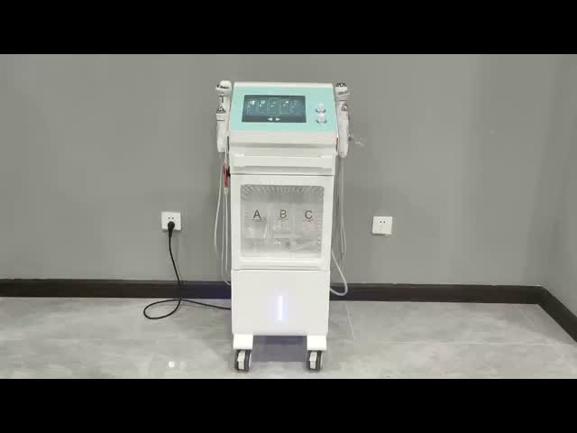 マイクロ電流ハイドラ 顔処理機 9 イン 1 ダイヤモンド マイクロ皮膚磨き 顔処理機 250W