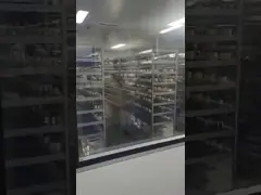 Uzun Son Taklit Parfüm Laguna Bahçe Esanslı Yağ Çiçek Kokusu