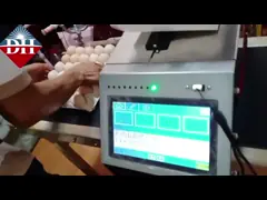 Six Nozzle Automatic Egg Spray Coding Machine Printing