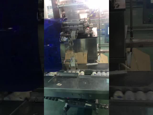 ストローパイプ 自動給餌機