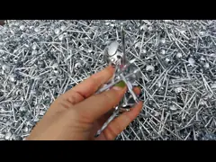 Electro Galvanized Galv Roofing Nails Outdoor In Construction