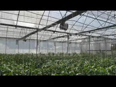 플라스틱 필름과 그림자 네트워크 커버 재료와 1.5m-1.8m 어깨 높이
