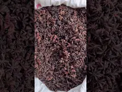 Natural Dried Spices And Herbs Star Anise For Cooking Meat