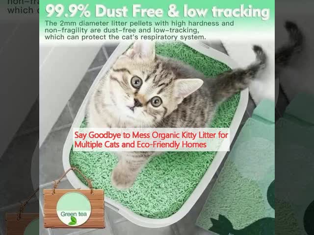 ODM Sustainable Organic Green Tea Cat Litter Quick Clumping Dust Free Flushable