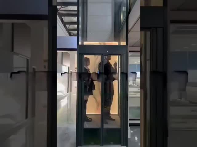 Luxury Traction Home Elevator Microprocessador Baseado em Gearless House Elevator Lift