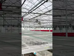 400mm 500mm 16inch 20inch Greenhouse Cooling System Air Circulation Fan