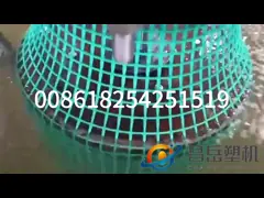 Plastic Geo Net Extruder Line for Advanced 2D Geonet Making Machine Loading Port Qingdao