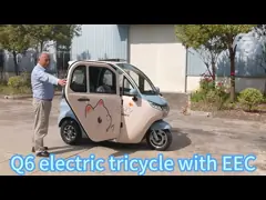 Factory Wholesale e-trike 1200W 3 wheel electric car adult electric tricycle with EEC certificate