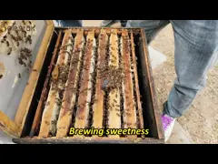 100% Pure Natural Bee Honey Organic Raw Linden Honey None Addictives