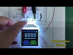 Color Digits 7 Segment VA LCD Display  22PIN White Backlight For Egg Incubator