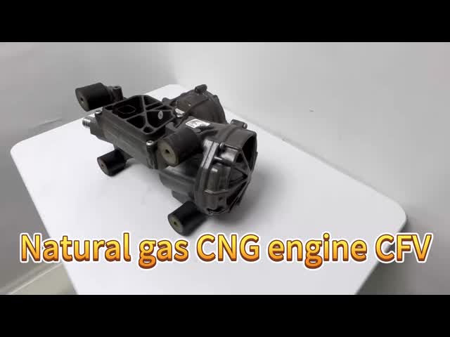 CNGエンジン CFV WG1238110131 VG1238110131 AN1000-1113F40 J4R00-1113F40C Sinotruk HOWO トラック部品 cng 部品