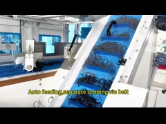 Intelligent Visual Counting Packaging Machine For Seal Ring Rubber Silicone video