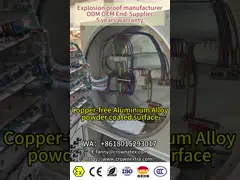 ATEX 380V Flameproof Control Panels Industrial Power Distribution Panel Aluminium Material anti corrsion IP66 for Hazardous Zone1 2 21 22 Rated current ≤250A