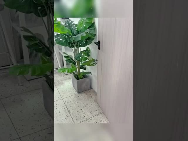 噴霧の静電気の粉のコーティングは明確な無光沢の粉のコートに彩色する