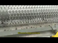 Galvanized PVC Coated Chicken Wire Mesh 20g/m2-60g/m2 Zinc Coated Rust Resistant