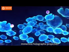 Support Custom Immersive Projection Room Equipment Indoor Immersive Projection