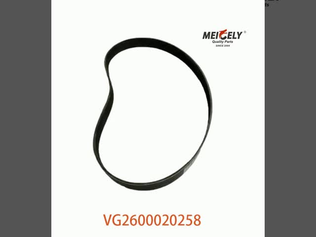 ホットセール VG2600020258 オルターネーターベルト HOWOのためのエンジンスペアパーツ ビデオ