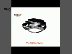 ホットセール VG2600020258 オルターネーターベルト HOWOのためのエンジンスペアパーツ video