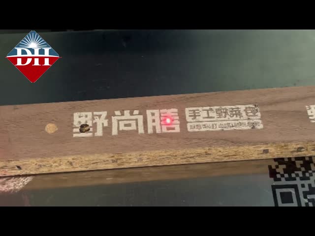 Máquina de marcação a laser voador Co2