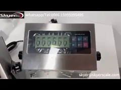 XK3190-A12SS Stainless Steel Yaohua Weighing Indicator