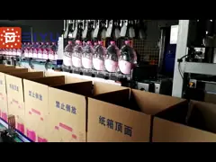 Mineral Water Bottle Case Packer Packaging Machine Single Column