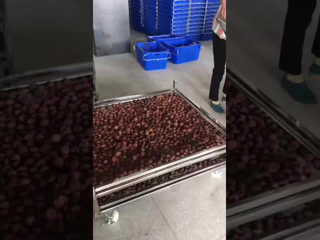 Food Grade Stainless Steel Wire Mesh Food Drier For Fruit Dehydrator Drying Machine Trays Dry Fruit Serving Tray Trolley