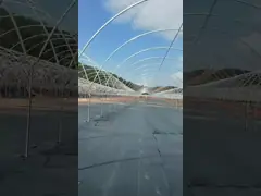 berry greenhouse blueberry greenhouse