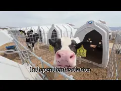 Polyethylene Dairy Calf Hutches Suitable for Calves of All Ages and Sizes 220*145*145cm