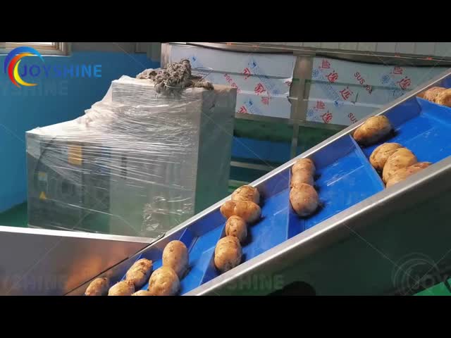 工業用フレンチフライの生産ライン 完成品 ポテトチップ フレンチフライ