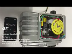 Actuateur électrique à ouverture rapide AC220V