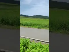 Improve Construction Efficiency with Rear-mounted Mold Cement Slipform Paver for Negative Clearance Roads