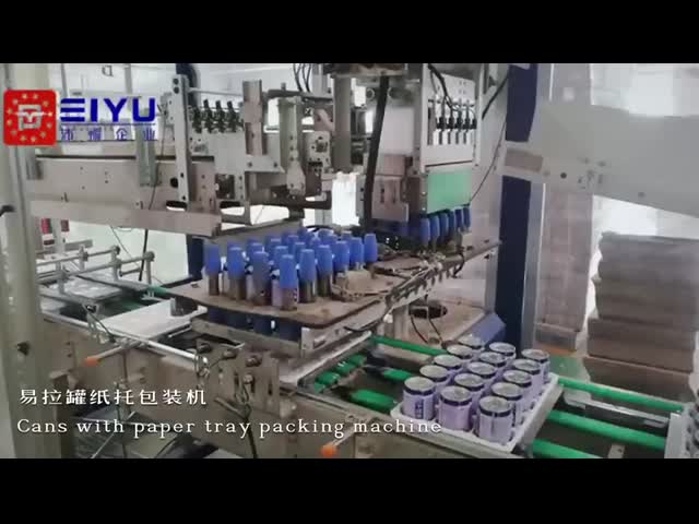 Custom Industrial Case Packing Machine Horizontal Case Packer For Paper Tray Can