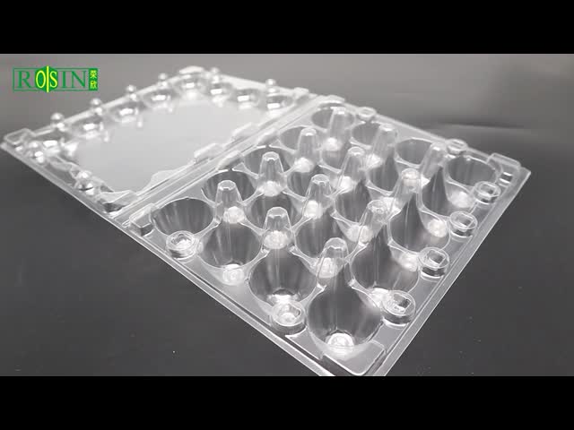 20 Hole Disposable Plastic Egg Packaging PET Transparent Egg Tray Portable