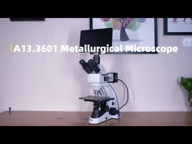 OPTO EDU A13.3601 Binocular Metallurgical Microscope Transmit And Reflect Light