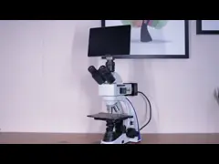 OPTO EDU A13.3601 Binocular Metallurgical Microscope Transmit And Reflect Light