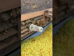 Wholesale 100% Natural Bee Honey High quality Pure Raw Organic Traditional Herb Honey