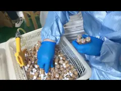 A0035 7.5ml 10ml 15ml Empty Customization Eye Serum Gel Massage Roller Steel Ball Bottle Applicator