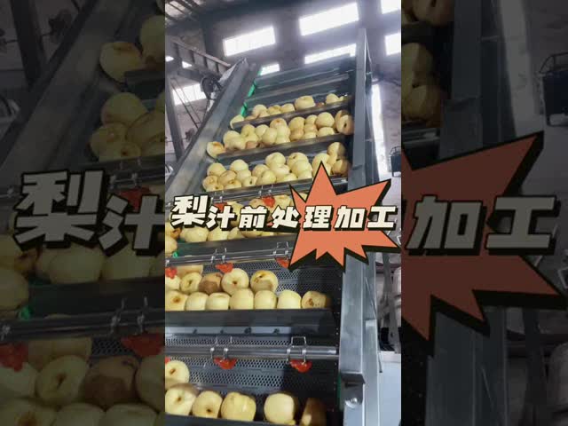 ナシの石取り機の産業ジューサー機械、マンゴ ジュース機械製造業者 