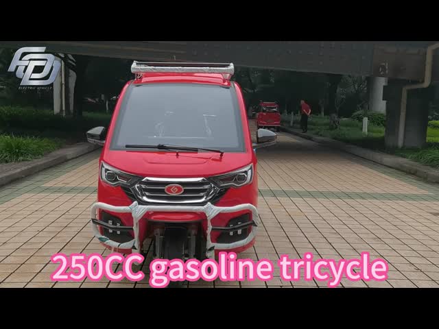4つの助手席が付いているガソリン三輪車200CC 3の車輪を運転することを連動させて下さい