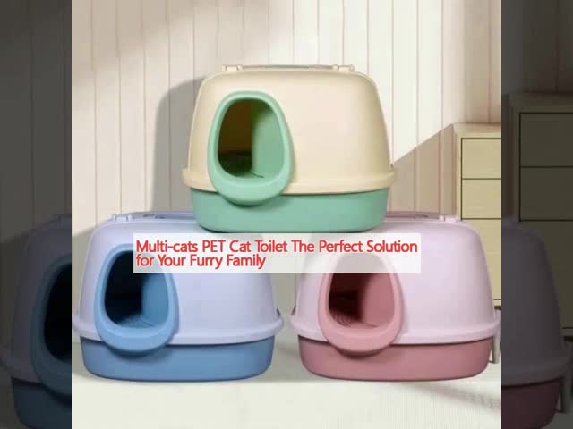 Big Mouth Monkey Corridor Cat Litter Box Blue Yellow Pink Kitty Litter Box