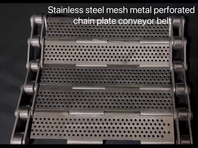 Stainless Steel Wire Mesh Conveyor Belt with perforated metal chain plate design and side chains secured by welded rings