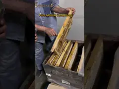 250g Manuka Honey MGO 100+Certified 100% Pure New Zealand Manuka HoneyNatural Bee Honey