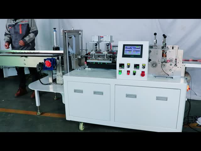 Taille de scellage de sac de l'exactitude ≤±1mm d'emballage de machine à ensacher de côté de haute précision vidéo